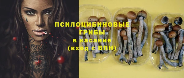 ГАЛЛЮЦИНОГЕННЫЕ ГРИБЫ Наволоки
