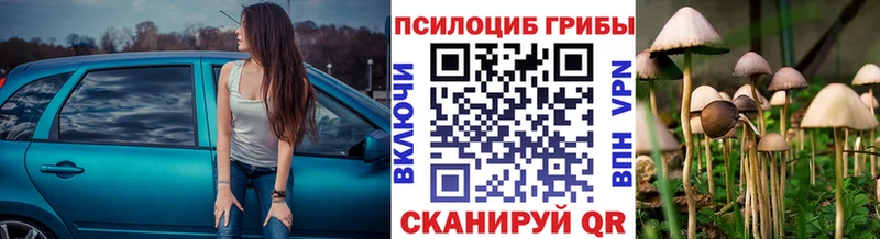 blacksprut tor  закладка  Уржум  Псилоцибиновые грибы Psilocybine cubensis 